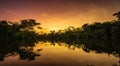 beautiful amazon river during a sunset Royalty Free Stock Photo