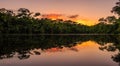 beautiful amazon river during a sunset in high resolution Royalty Free Stock Photo