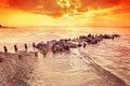 Beautiful amber sunset over beach.