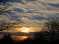 Beautiful Amber Sunset White Wispy Clouds Trees Edge Forest