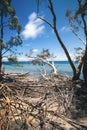 Amity Point beach on Stradbroke Island, Queensland Royalty Free Stock Photo