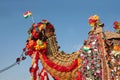 Beautiful amusing decorated Camel on Bikaner Camel Festival in Rajasthan, India