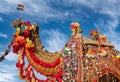 Beautiful amusing decorated Camel on Bikaner Camel Festival in Rajasthan India