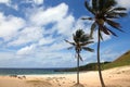 Beautiful Anakena Beach, with golden sand & tropical palm trees, Easter Island, Chile Royalty Free Stock Photo