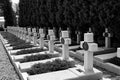 Beautiful ancient cemetery in Lviv. Lychakiv cemetery.