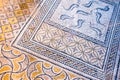 Beautiful Ancient Mosaic in Roman ruins of Volubilis, Unesco, Meknes, Morocco Royalty Free Stock Photo