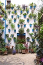 Beautiful Andalusian patio facade decorated with plants hanging from the wall in blue pots and spread over mosaic stone floors. Royalty Free Stock Photo