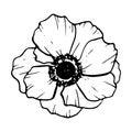 Beautiful anemone flower vector illustration. Wildflower poppy for coloring pages, stylish floral designs, greeting card