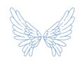 Beautiful angel or bird wings vector illustration in monochrome outline style. Pair of cute wing with feathers decorated