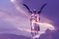 Beautiful angel in heaven Royalty Free Stock Photo