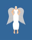 Beautiful angel woman. fine female archangel in white clothes Royalty Free Stock Photo