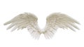 beautiful angelic wings Royalty Free Stock Photo