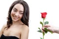 Beautiful angry girl receives one red rose. She is surprised, looking at the flowers and smiling. Royalty Free Stock Photo