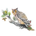 Beautiful animal image with watercolor hand drawn owl bird sitting on oak branch . Stock illustration. Royalty Free Stock Photo