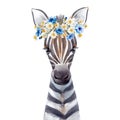 Beautiful animal portrait with hand drawn watercolor cute baby zebra in floral wreath . Stock illustration Royalty Free Stock Photo