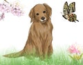 Beautiful animals background nature. Dog with luggage and butterfly.