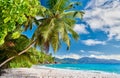 Beautiful Anse Soleil beach with palm tree at Seychelles