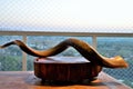 An antelope horn goes up the wooden board on the table