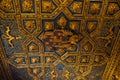 antique historical golden ceilings background from a palace in spain