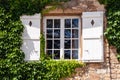 Beautiful antique old brick house rustic window with white wooden shutters, flowers, entwined green ivy covered exterior wall Royalty Free Stock Photo