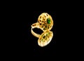 Beautiful antique Oriental Turkish gold jewelry women ring