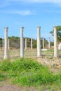 Beautiful Antique pillars with blue sky above. The columns were part of Salamis Gymnasium located near Famagusta in Cyprus