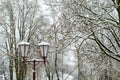 beautiful antique street lamp covered with snow. Many lampposts along the alley in the park. Winter landscape. Calm frosty day Royalty Free Stock Photo