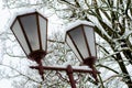 beautiful antique street lamp covered with snow. Many lampposts along the alley in the park. Winter landscape. Calm frosty day Royalty Free Stock Photo