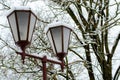 beautiful antique street lamp covered with snow. Many lampposts along the alley in the park. Winter landscape. Calm frosty day Royalty Free Stock Photo