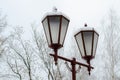 beautiful antique street lamp covered with snow. Many lampposts along the alley in the park. Winter landscape. Calm frosty day Royalty Free Stock Photo