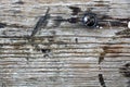 Beautiful antique wooden board with a screw, wood texture