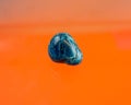 An apatite as tumbled gemstone and healing stone Royalty Free Stock Photo