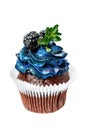 Beautiful appetizing cupcake with blue cream and blueberries and blackberries, cakes handmade desserts, close-up isolated on a whi Royalty Free Stock Photo