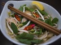 Beautiful and appetizing photo of a traditional vietnamese chicken noodle soup, also know as Pho Ga. In a white bowl with wooden b