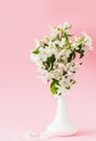 Beautiful apple blossom bouquet in vase. Still life.