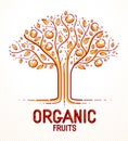 Beautiful apple fruit tree natural organic farm food vector logo or emblem.