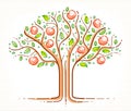 Beautiful apple fruit tree vector linear style drawing logo or icon. Royalty Free Stock Photo