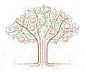 Beautiful apple fruit tree vector linear style drawing logo or icon.