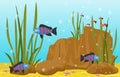 Beautiful Aquarium Fish Colorful Reef Water Plant Illustration