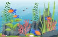 Beautiful Aquarium Fish Colorful Reef Water Plant Illustration