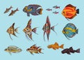 Beautiful Aquarium Fishes Collection