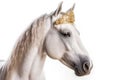 Beautiful Arabian Horse In Gold Crown On White Background. Generative AI