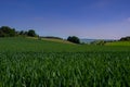 Beautiful arable landscape on a sunny day in the Eifel Royalty Free Stock Photo