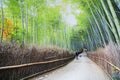 Beautiful Arashiyama Bamboo forest in Kyoto, Japan