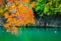 Beautiful Arashiyama river with maple leaf tree and boat around lake Royalty Free Stock Photo