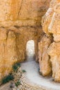 Beautiful arch in rock in Bryce Canyon Royalty Free Stock Photo