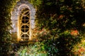 Beautiful arched window and wild grapes at night with backlighting. Royalty Free Stock Photo