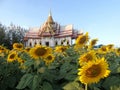 Beautiful architecture of Buddhist temple in flower field Royalty Free Stock Photo