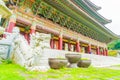 Yakcheonsa Temple in Jeju Island, South Korea Royalty Free Stock Photo