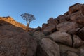 A beautiful arid mountain landscape with a Quiver tree